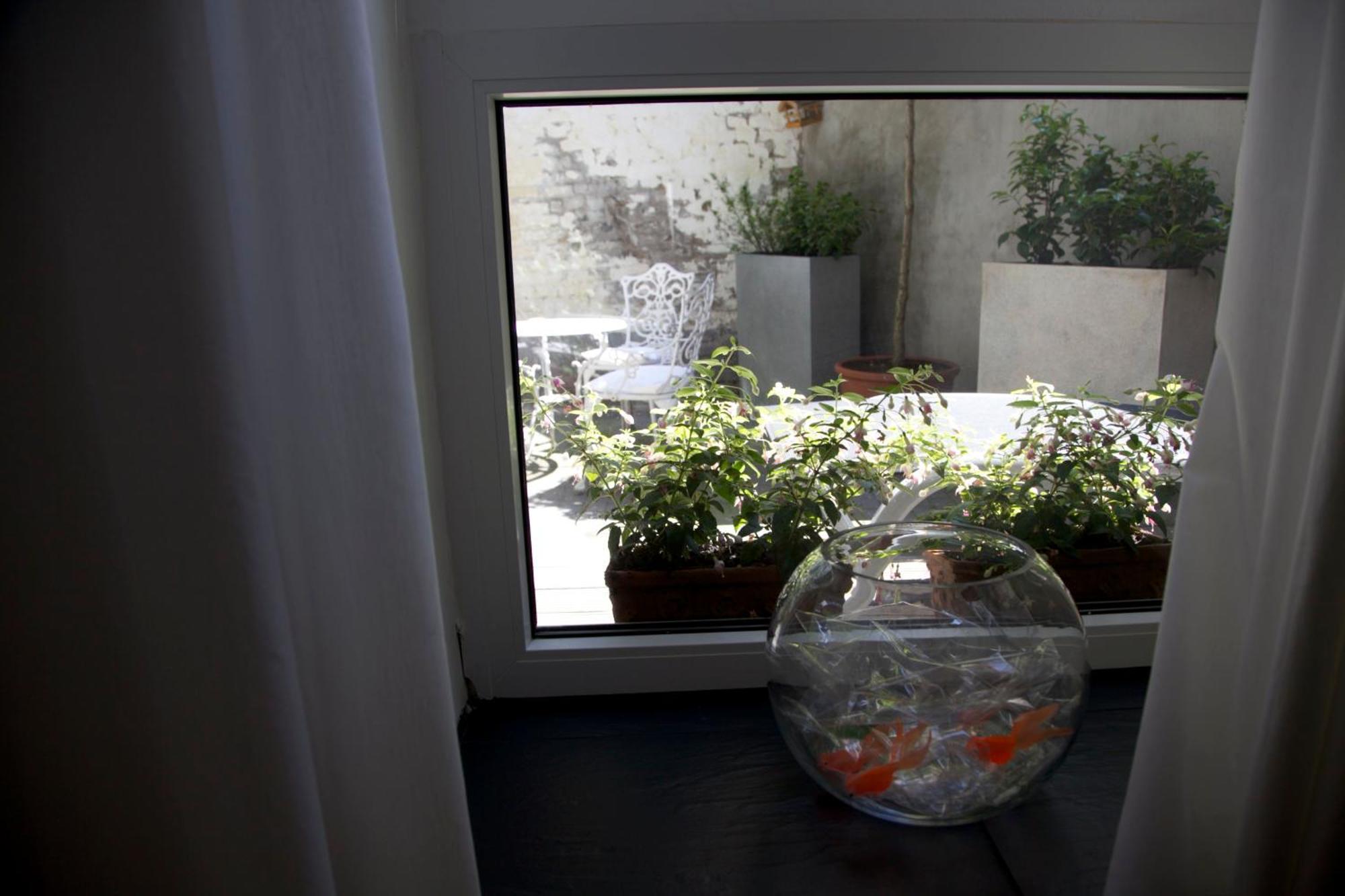 Apartment Miro Κολωνία Εξωτερικό φωτογραφία